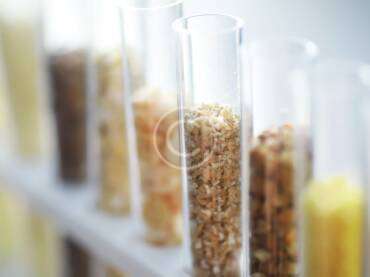 Medical testing in preventive healthcare: why it’s crucial