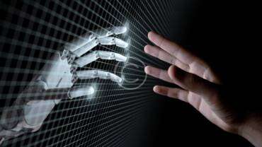 The rise of online drugstore networks