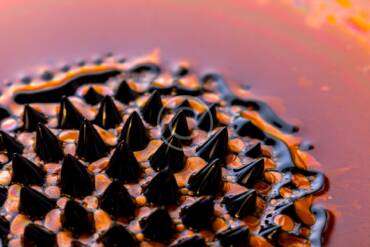 Top 10 medical research centers worldwide